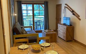 Appartement T2+coin nuit 6 pers résidence de Cami Real au centre du village de saint Lary Soulan avec piscine intérieure+ sauna et hammam